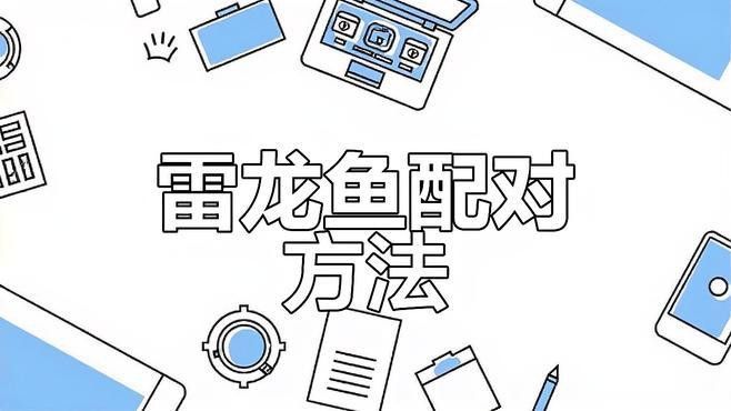 如何降低龍魚混養中的沖突？