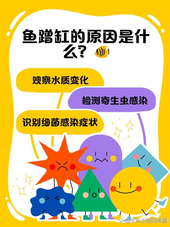 龍魚缸底游時不時曾缸底