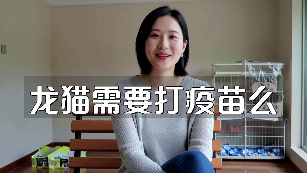 龍貓需要定期接種哪些疫苗？ 龍貓需要定期接種哪些疫苗？ 龍魚百科 第4張