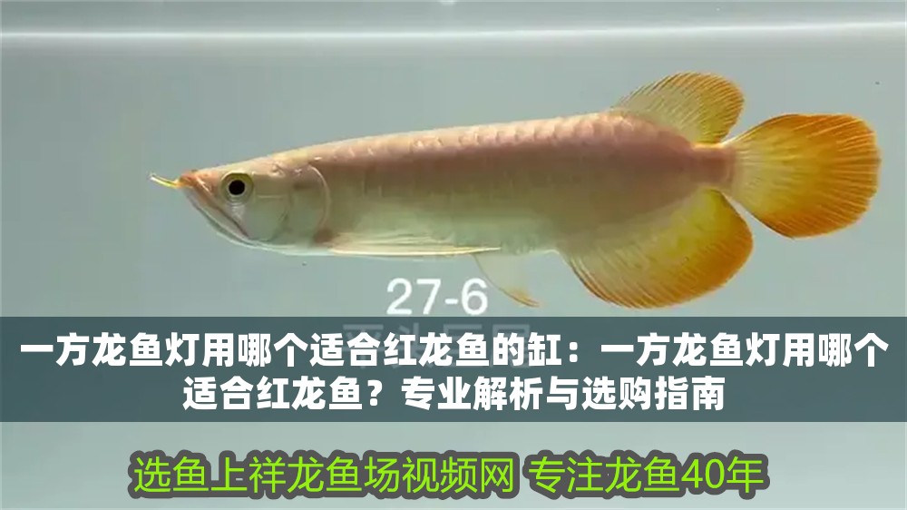 一方龍魚燈用哪個適合紅龍魚的缸：一方龍魚燈用哪個適合紅龍魚？專業解析與選購指南