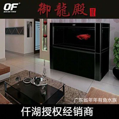 龍魚缸小夜燈用什么顏色好：關于龍魚缸小夜燈顏色選擇的詳細建議