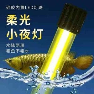 龍魚缸小夜燈用什么顏色好：關于龍魚缸小夜燈顏色選擇的詳細建議