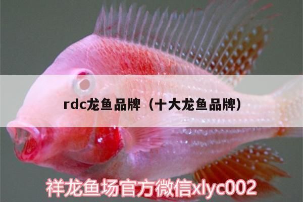 龍魚缸品牌排名：2018龍魚缸品牌排名
