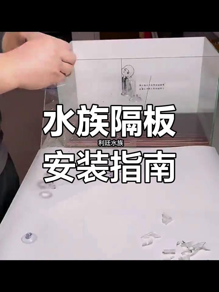 如何安裝龍魚混養(yǎng)的隔離板？