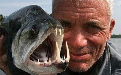 龍魚躲在角落不游動關燈正常：龍魚在遇到環境變化時，如果突然關燈，可能會表現出躲藏或不動的狀態