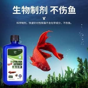 龍魚能用殺菌水嗎：如何自制龍魚殺菌水