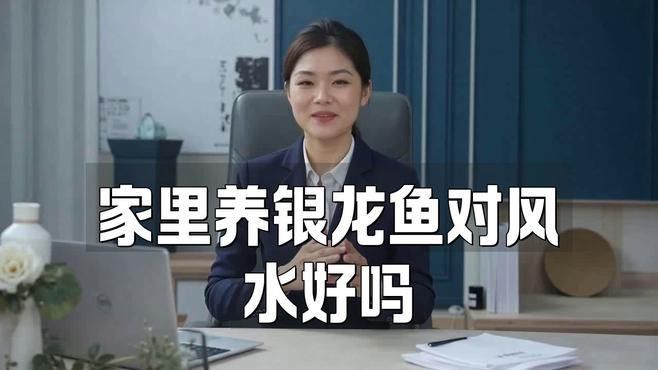 家中養(yǎng)銀龍魚養(yǎng)幾條好