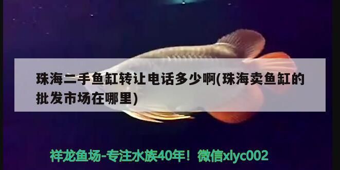 珠海二手魚缸轉讓電話多少啊(珠海賣魚缸的批發市場在哪里)