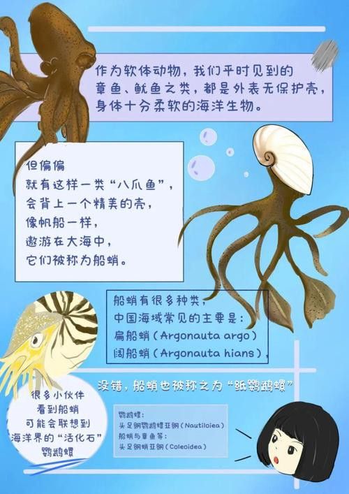 八爪龍魚圖片大全