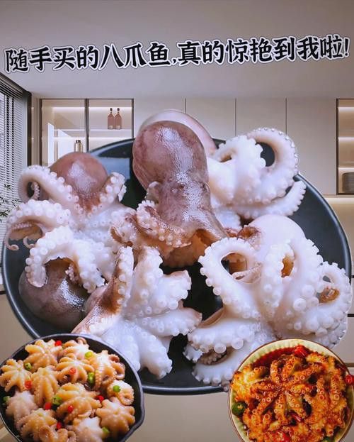 八爪龍魚圖片大全