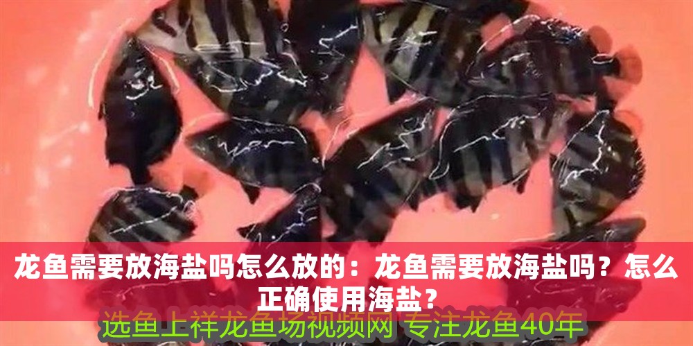 龍魚需要放海鹽嗎怎么放的：龍魚需要放海鹽嗎？怎么正確使用海鹽？