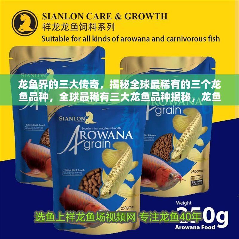 高背銀龍有哪些頂級個體 高背銀龍有哪些頂級個體 龍魚百科 第6張