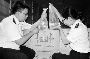 龍魚鑒定機構地址（北京龍魚鑒定機構地址） 龍魚鑒定機構地址（北京龍魚鑒定機構地址） 龍魚百科 第5張