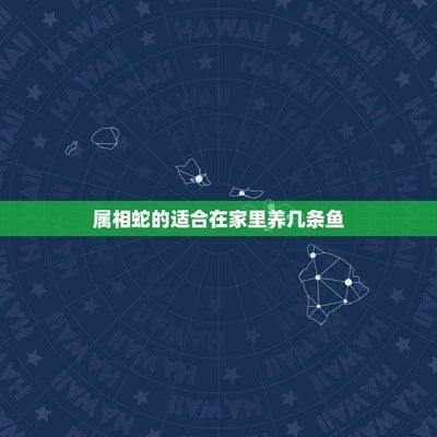 紅龍魚怎么買便宜（紅龍魚批發市場位置查詢）