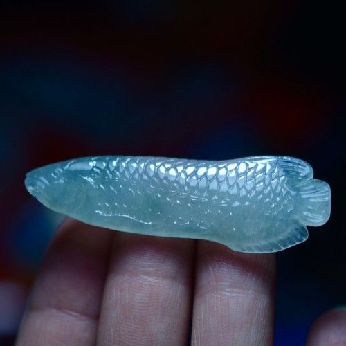 翡翠綠底金龍魚圖片 翡翠綠底金龍魚圖片 龍魚百科 第13張