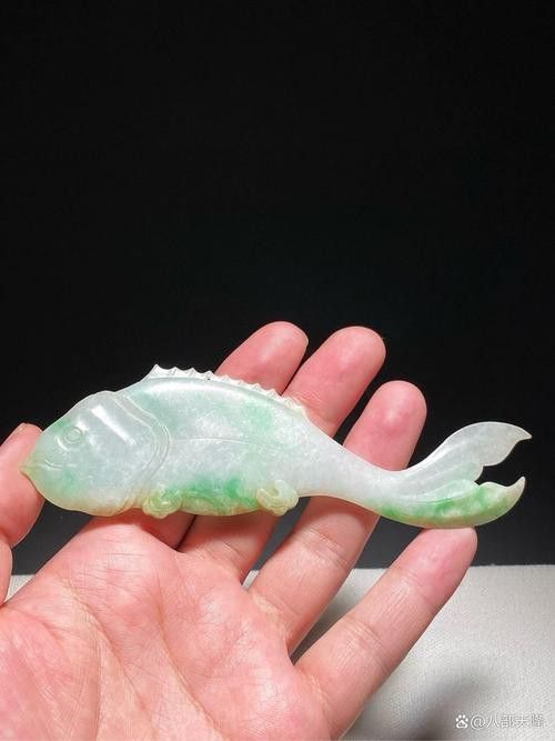 翡翠綠底金龍魚圖片 翡翠綠底金龍魚圖片 龍魚百科 第11張