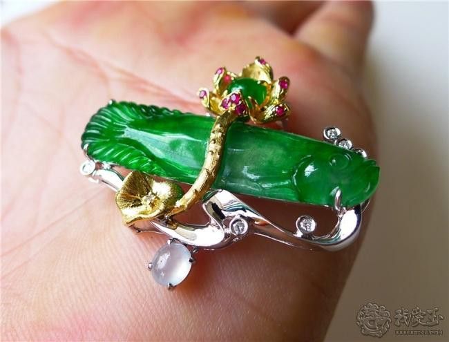 翡翠綠底金龍魚圖片 翡翠綠底金龍魚圖片 龍魚百科 第21張