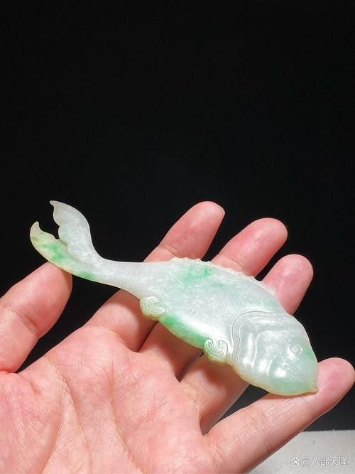 翡翠綠底金龍魚圖片 翡翠綠底金龍魚圖片 龍魚百科 第18張