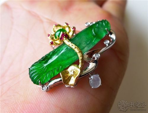 翡翠綠底金龍魚圖片 翡翠綠底金龍魚圖片 龍魚百科 第22張