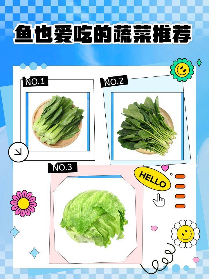 金魚必吃的10種蔬菜