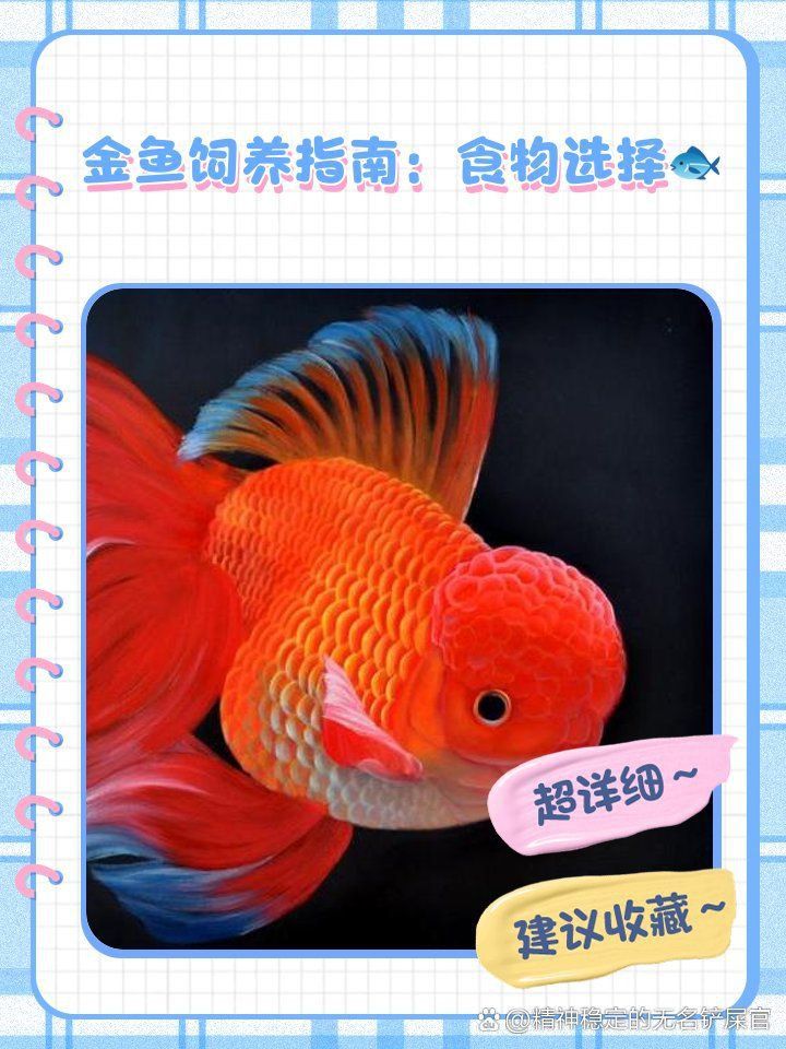 金魚必吃的10種蔬菜