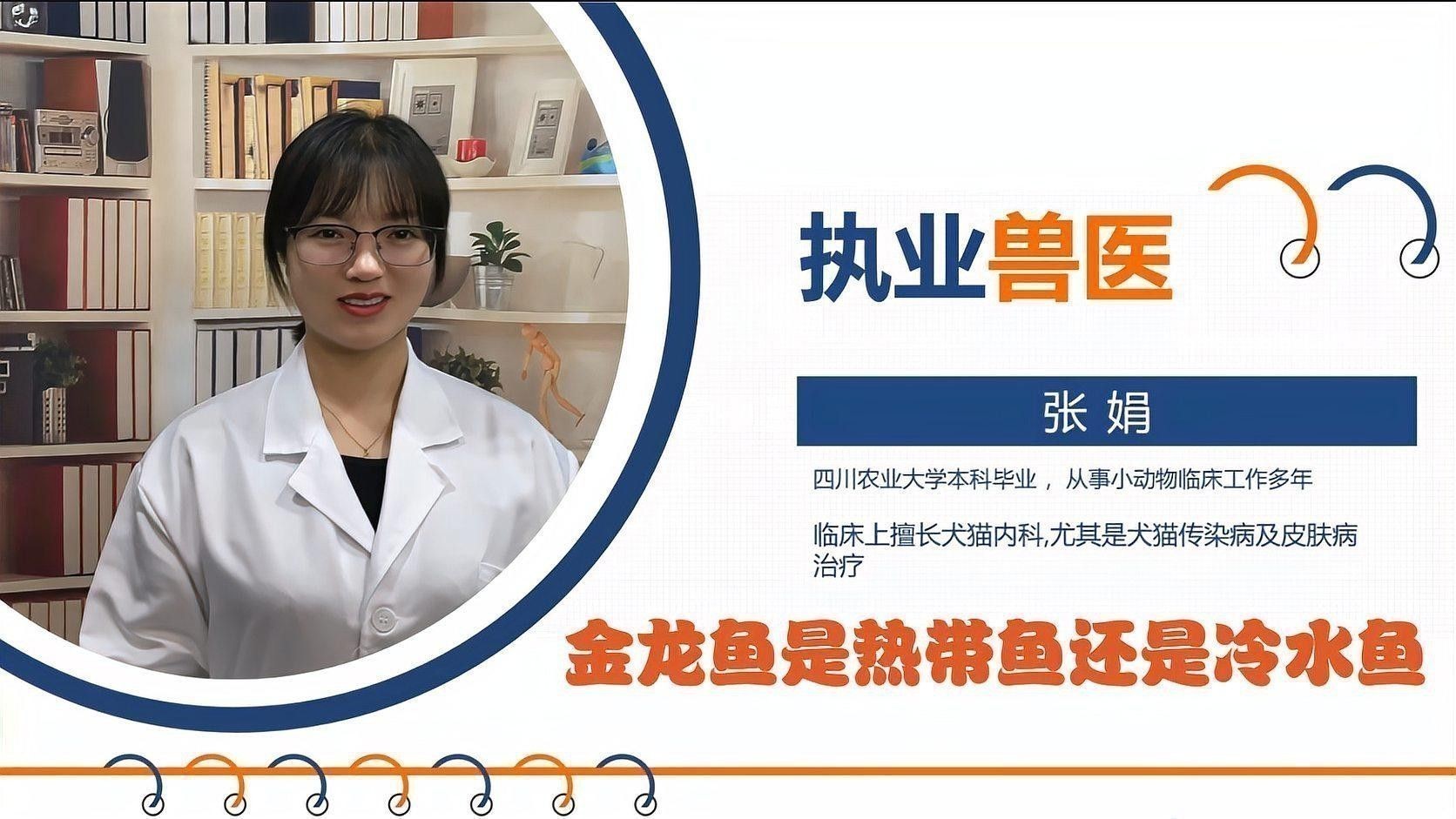 冷水金龍魚做法 冷水金龍魚做法 龍魚百科 第2張