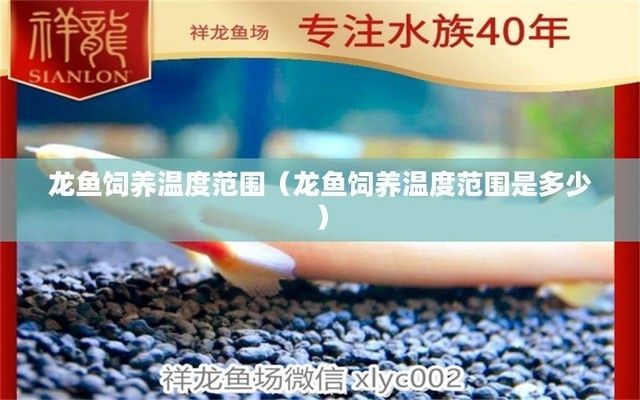 龍魚的飼養溫度是多少合適：龍魚適應新水溫方法,幼龍魚飼養最佳溫度,成年龍魚日常護理要點