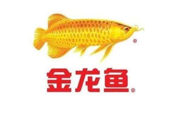 金龍魚 漲價(jià)幅度 2018年（金龍魚2018年調(diào)價(jià)幅度達(dá)5%）