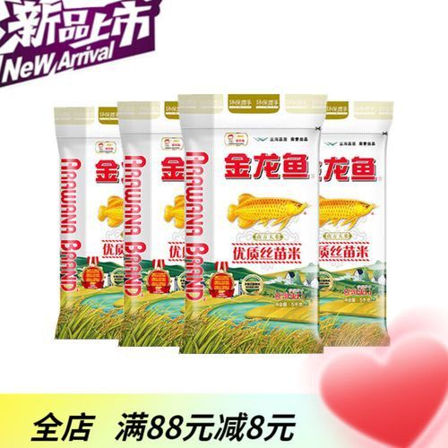 金龍魚江南絲苗米秈米 金龍魚江南絲苗米秈米 龍魚百科 第9張