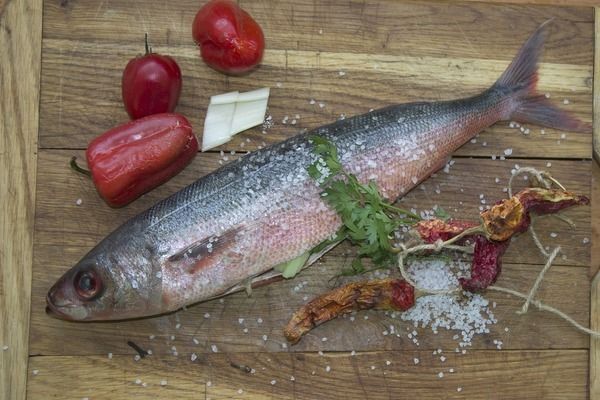 龍魚發色解說圖片高清壁紙：高清龍魚發色解說圖片