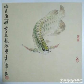龍魚裝飾畫沒(méi)有水好不好（龍魚裝飾畫是否適合放在沒(méi)有水的環(huán)境下）