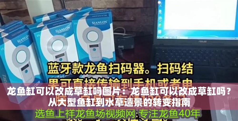 龍魚(yú)缸可以改成草缸嗎圖片：龍魚(yú)缸可以改成草缸嗎？從大型魚(yú)缸到水草造景的轉(zhuǎn)變指南