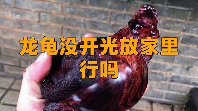 未開光龍龜如何保養
