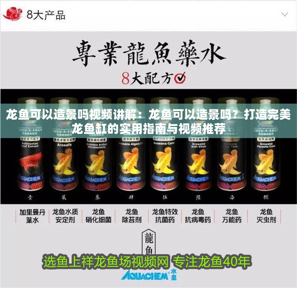 龍魚可以造景嗎視頻講解：龍魚可以造景嗎？打造完美龍魚缸的實用指南與視頻推薦