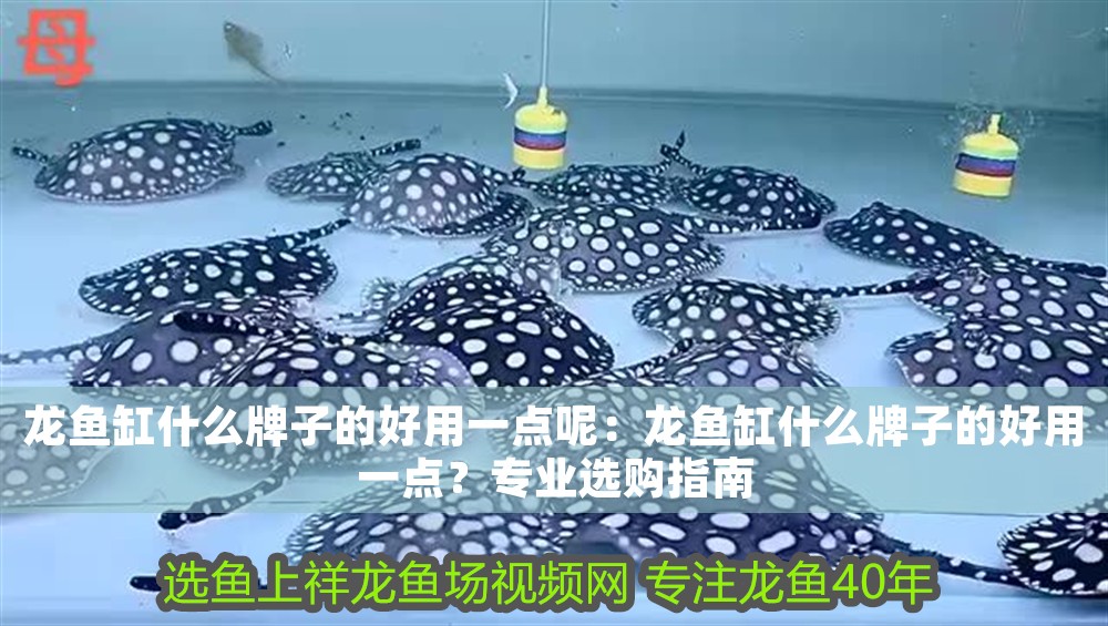 龍魚缸什么牌子的好用一點(diǎn)呢：龍魚缸什么牌子的好用一點(diǎn)？專業(yè)選購指南