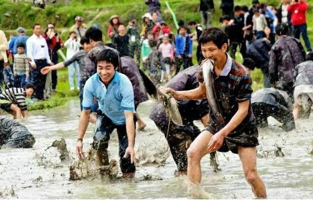 怎么捉龍魚：怎么捉龍魚捉龍魚的方法