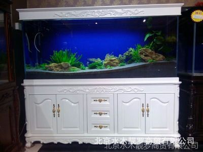 養龍魚需要魚缸尺寸取決于龍魚的種類及其成長階段：養龍魚需要的尺寸取決于龍魚的種類及其成長階段