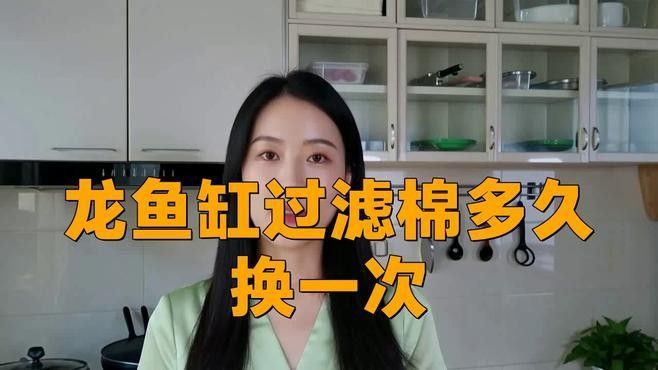 龍魚缸過濾棉多久換一次合適？