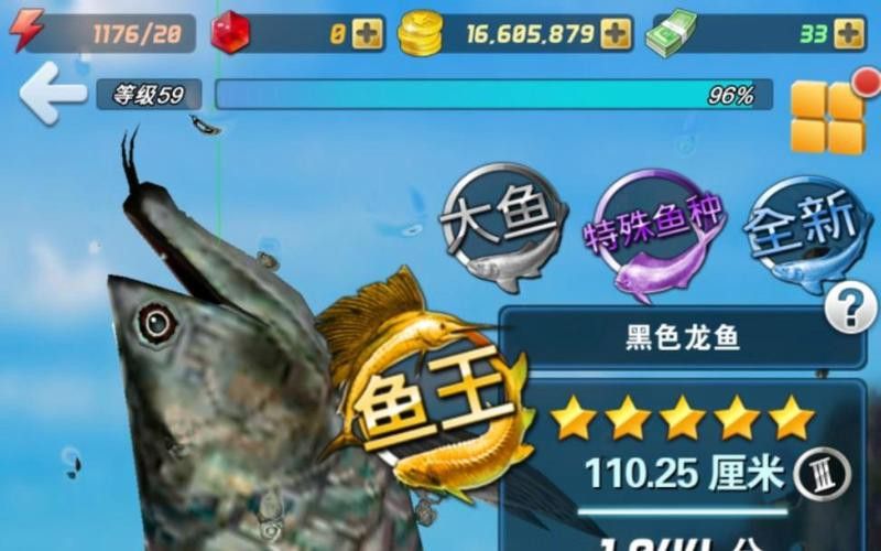 有黑色龍魚嗎視頻大全 有黑色龍魚嗎視頻大全 龍魚百科 第4張