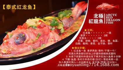 紅龍魚(yú)喂什么好（紅龍魚(yú)吃什么最好）