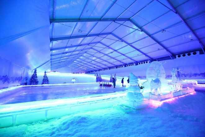 人工雪龍魚（人工養殖雪龍魚的方法）