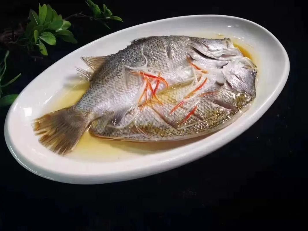 斑尾龍魚圖片高清圖
