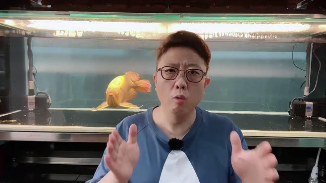 紅龍魚不發(fā)色的原因有哪些