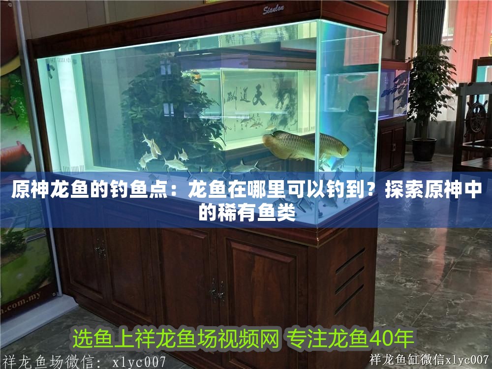 原神龍魚的釣魚點：龍魚在哪里可以釣到？探索原神中的稀有魚類