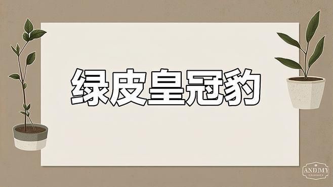 綠皮皇冠豹工具魚