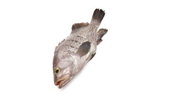 鱖魚的營養價值