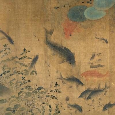 金龍魚沉在水底是怎么了：金魚沉底是怎么回事