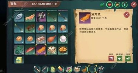 創造與魔法金龍魚用什么魚餌最好釣（《創造與魔法》金龍魚用什么誘餌） 創造與魔法金龍魚用什么魚餌最好釣（《創造與魔法》金龍魚用什么誘餌） 龍魚百科 第3張