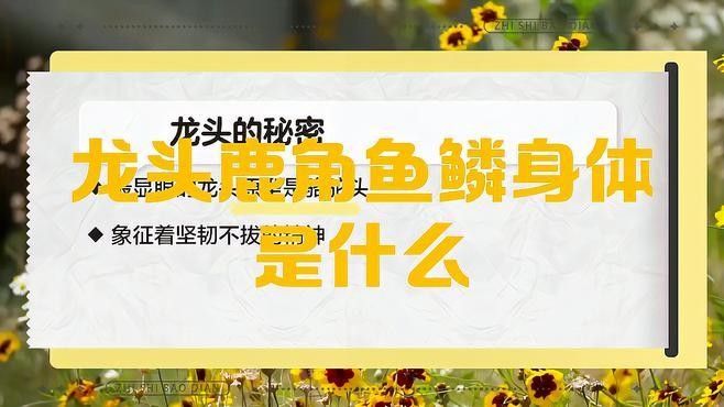 龍頭魚身特征在文化中有什么象征意義？