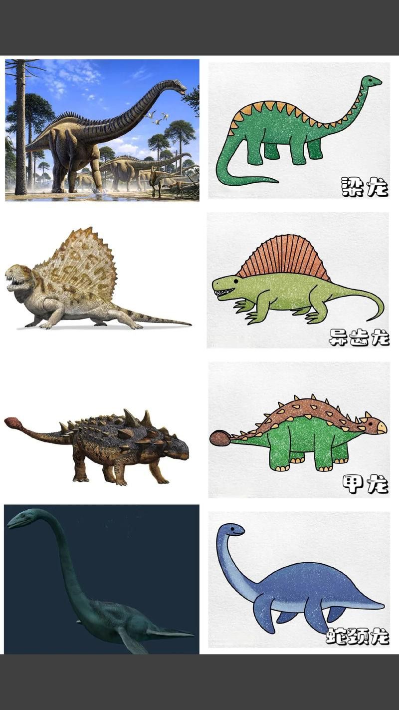 恐龍魚的圖片大全簡筆畫